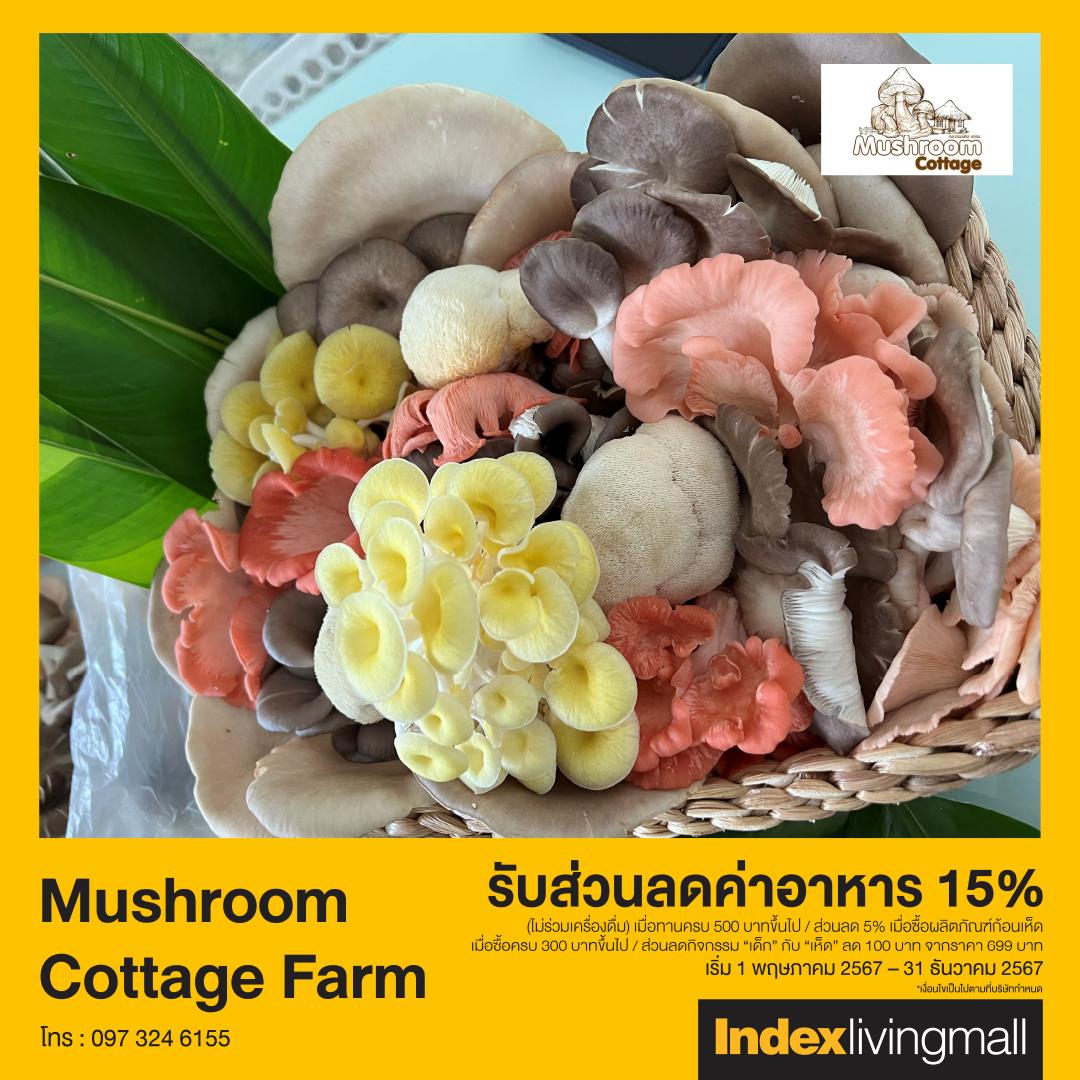 joy-card-mushroom-cottage-farm Image Link