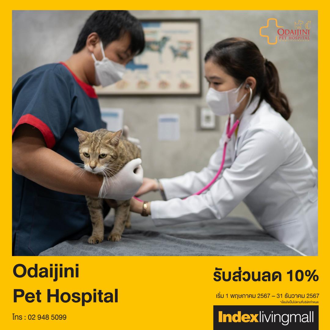 joy-card-odaijini-pet-hospital Image Link