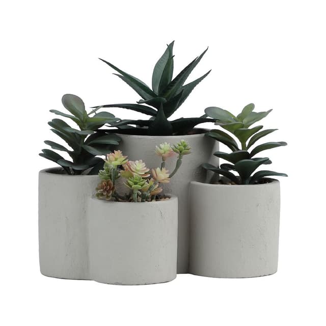 พืชอวบน้ำในกระถาง รุ่นอากิระ - สีเขียว/น้ำตาล