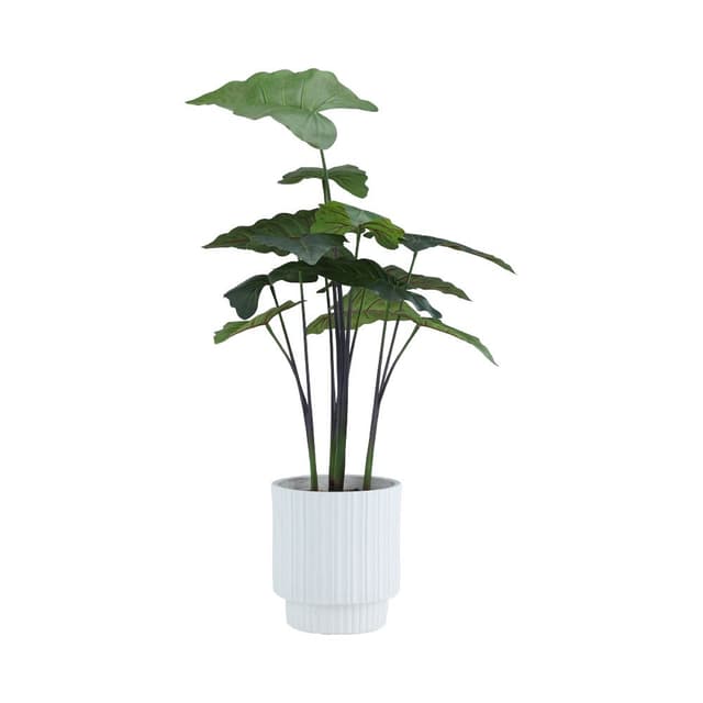 ต้นไม้ในกระถาง รุ่นบอนน่า สูง 105 ซม. - สีเขียว/ขาว