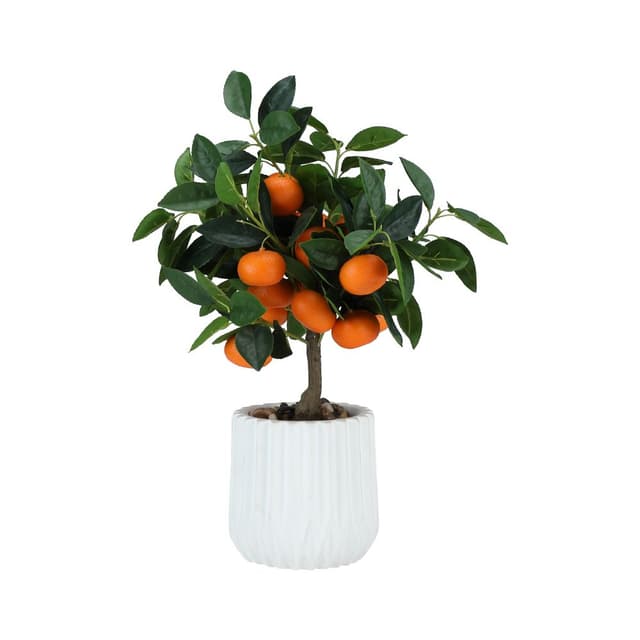 ต้นส้มในกระถาง รุ่นออรินโกะ - สีส้ม/ขาว