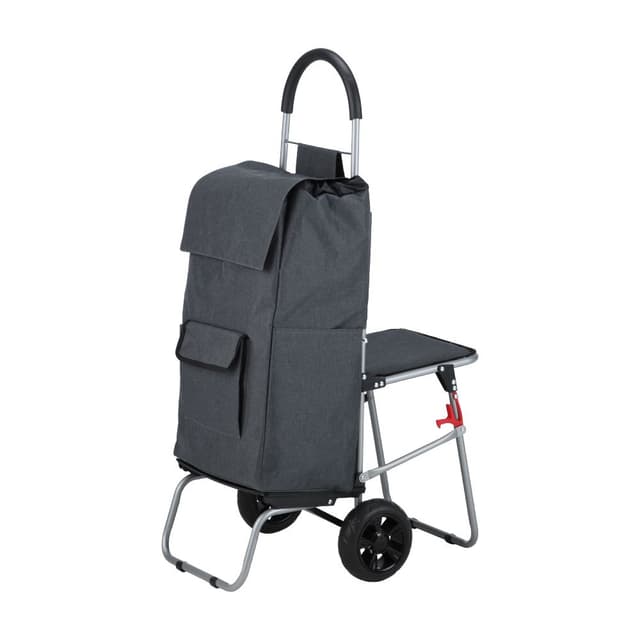 รถเข็นอเนกประสงค์นั่งได้ รุ่นเจมี่ - สีเทา/เงิน
