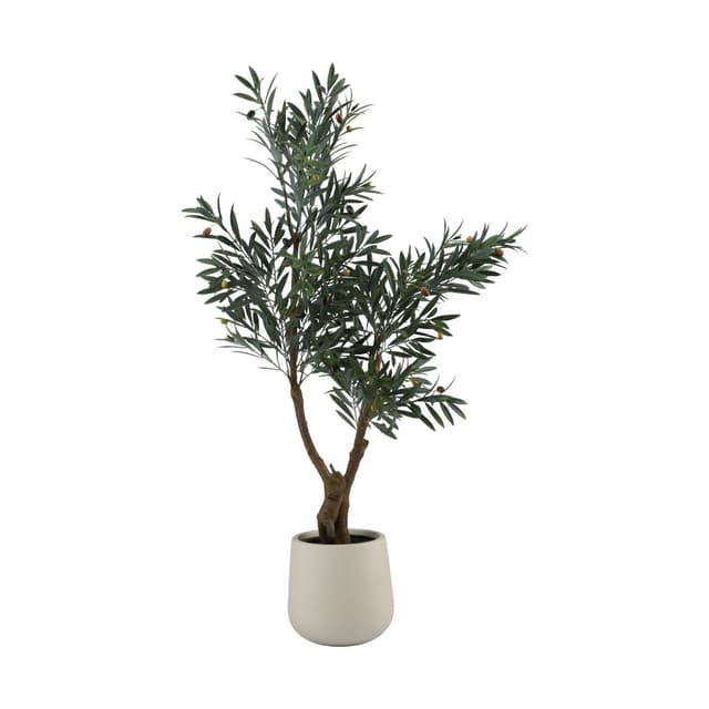 ต้นมะกอกในกระถาง รุ่นโอลีฟ - สีเขียว/ขาว